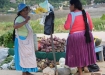 Sonntagsmarkt in Rurrenabaque