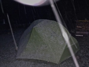 abends beginnt es zu schneien - was uns aber deutlich mehr Sorgen bereitet ist, dass Gianni (der Bär M25) in der Nacht zuvor im Dorf 5 Schafe gerissen hat..