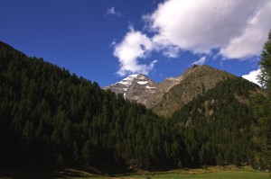 2000 Höhenmeter tiefer auf der Fafleralp im Lötschental - ein letzter, ehrfürchtiger Blick zurück auf das Lauterbrunner Breithorn!